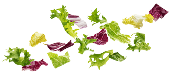 healthy-food-ingredients-falling-salad-leaves-2022-05-02-17-01-44-utc_prev_ui